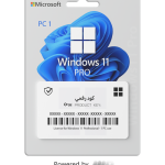 Windows 11‌‌‌‌‍‬‍‍ Pro